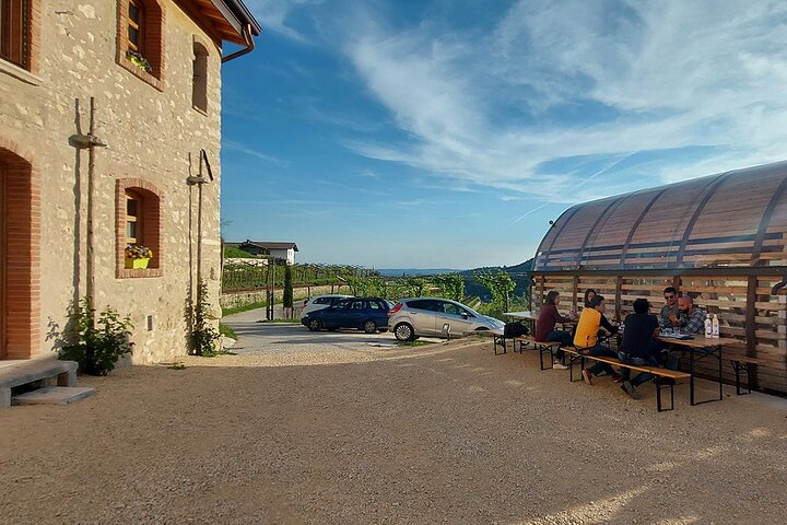 6 Degustación de vinos en Valpolicella Classica: la cuna de Amarone