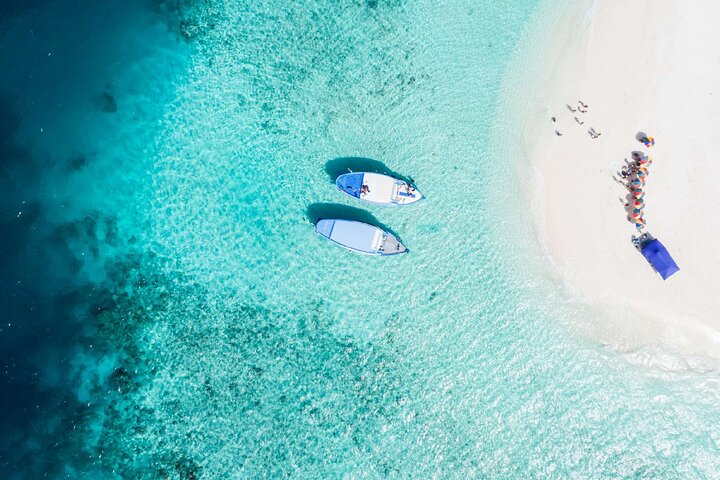 Maafushi: relitto di nave e snorkeling con lo squalo nutrice con osservazione dei delfini