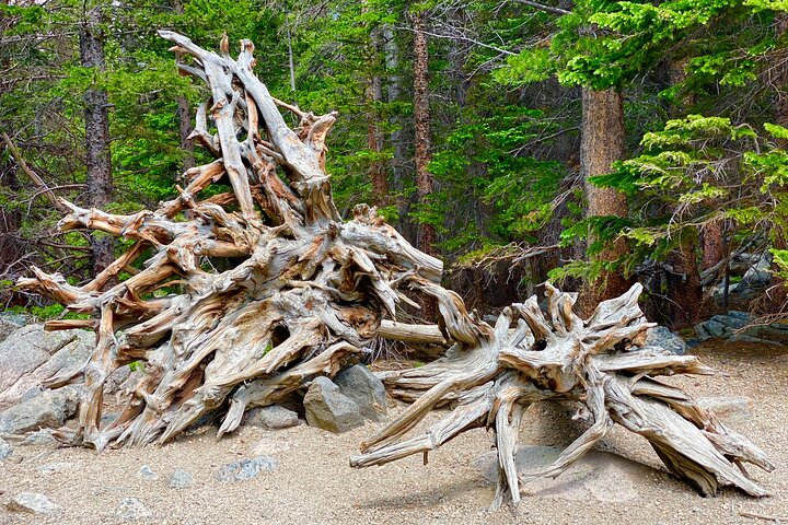 Rocky Mountain National Park Guided Small Group Tour