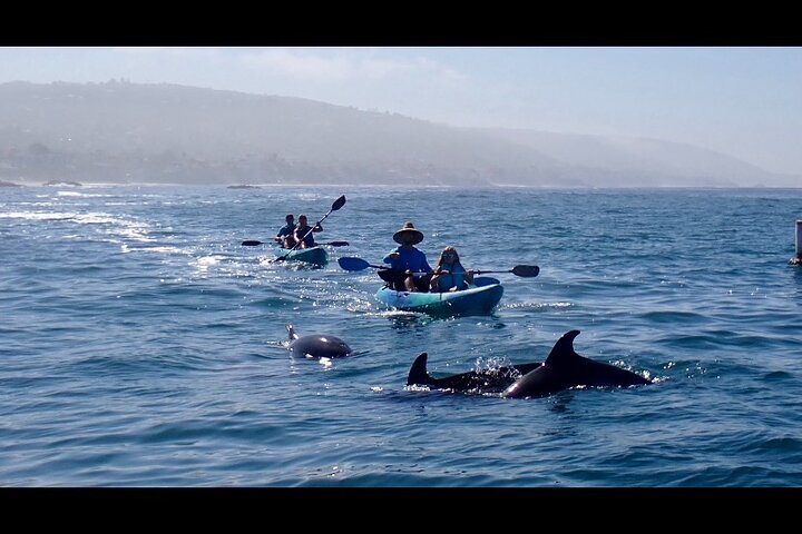 Laguna Beach Open Ocean Kayaking Tour met waarnemingen van zeeleeuwen