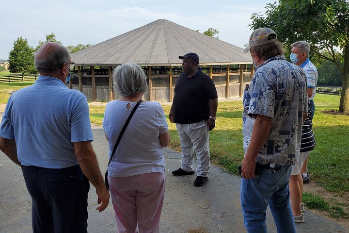 Excursões exclusivas para fazendas de cavalos com acesso privilegiado a fazendas particulares