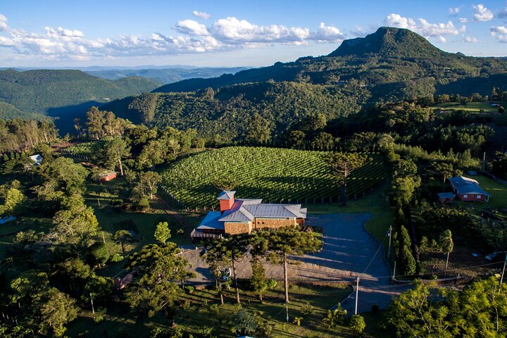 Guidad tur med vinprovning på Casa Seganfredo - Gramado