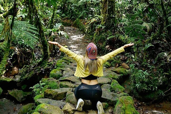 Tour di birdwatching di El Quetzal da Cobán: l'uccello nazionale del Guatemala