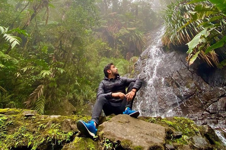 Tour di birdwatching di El Quetzal da Cobán: l'uccello nazionale del Guatemala