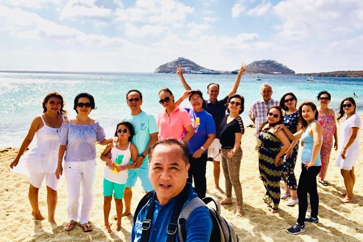 Excursión por la costa de Mykonos con recogida en la terminal de cruceros