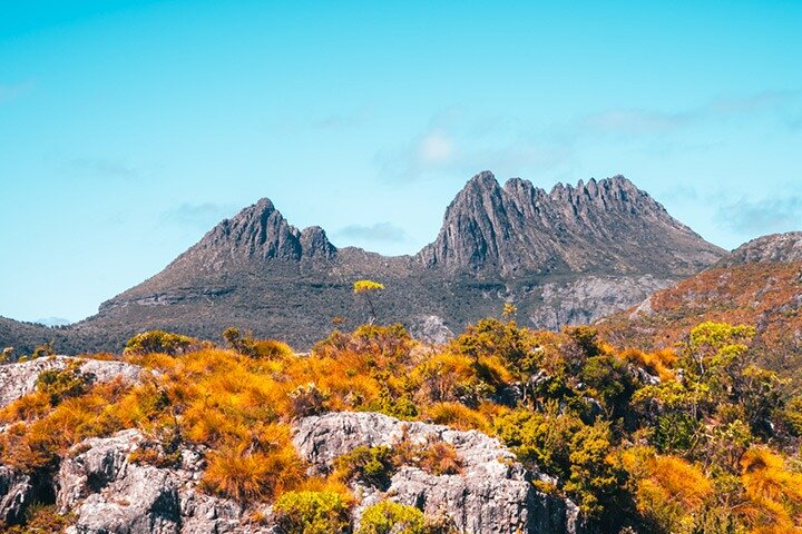 Tour di un giorno al Cradle Mountain National Park da Launceston
