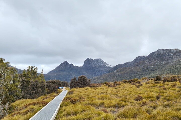 Tour di un giorno al Cradle Mountain National Park da Launceston