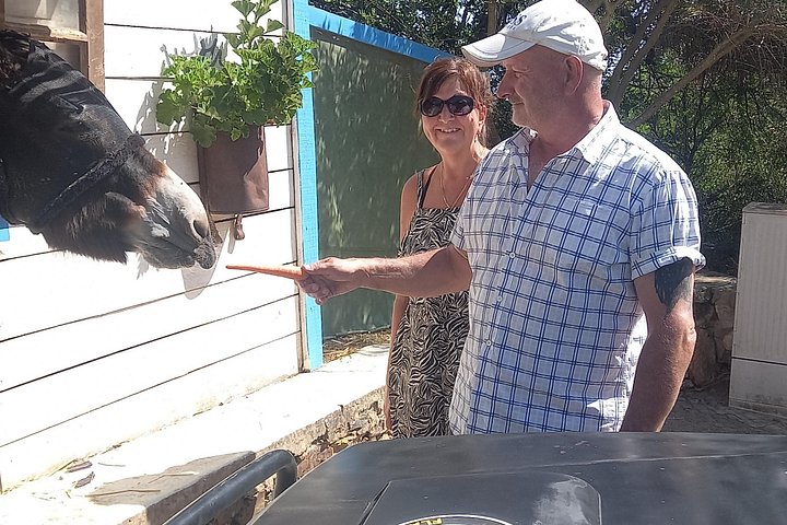 Tour de Safari por Albufeira con Cascada*, Castillo y Pueblos