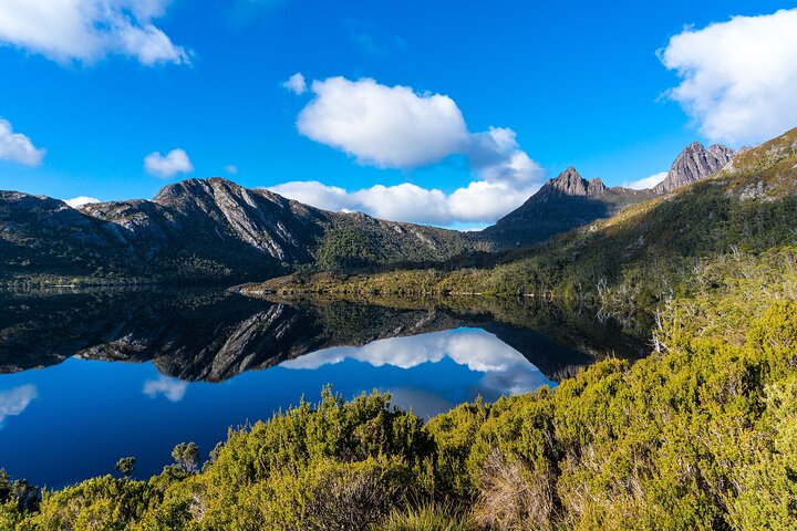 Tour di un giorno al Cradle Mountain National Park da Launceston