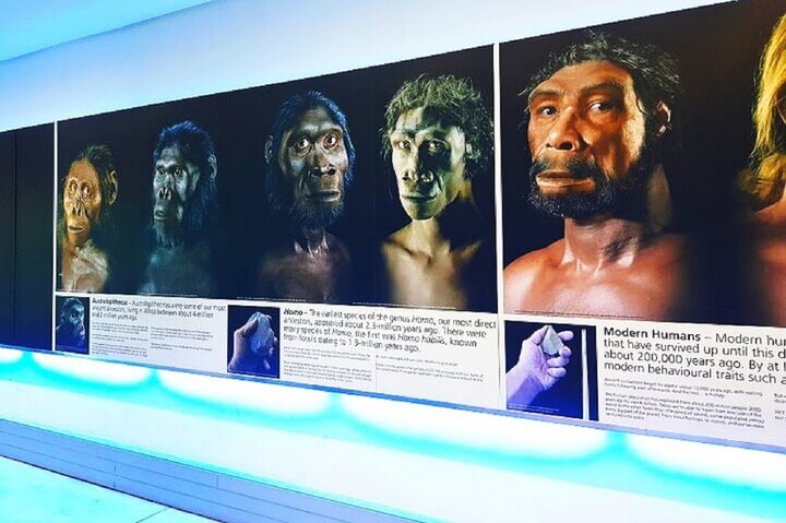 Tour de la Cuna de la Humanidad y las Cuevas de Maropeng/sterkfontein