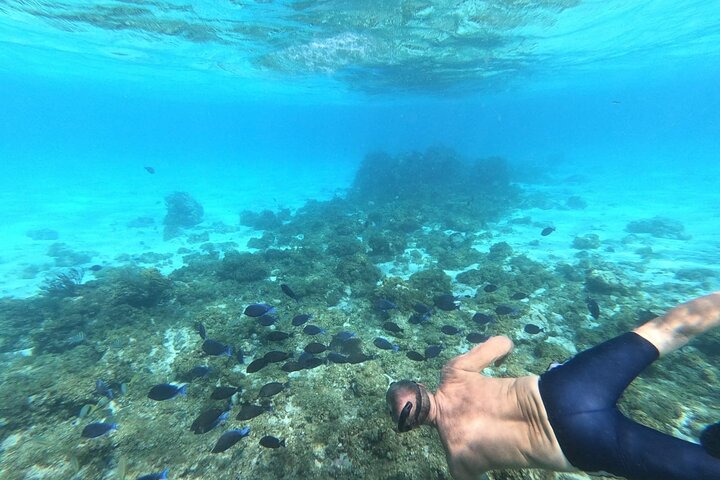 Stingray City, Star fish Point and Snorkeling Private Boat Tour