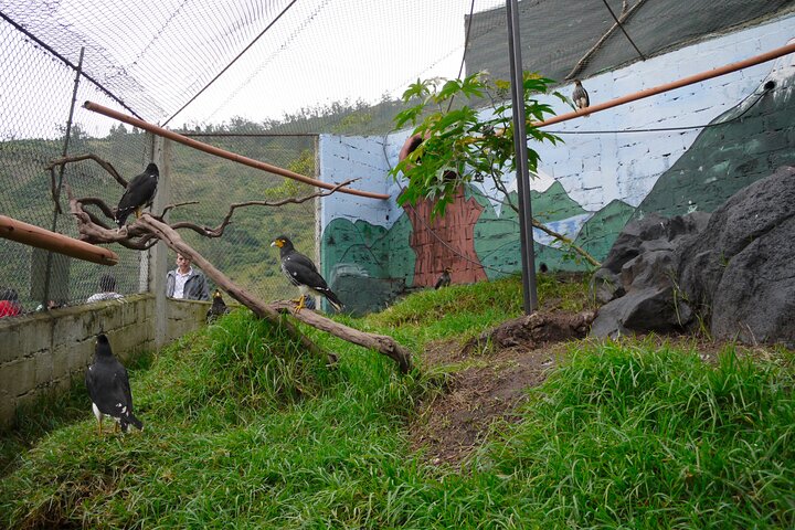 Yasuni Tours - 4 dagar 3 nätter - Från Puyo, Pastaza - Ecuador