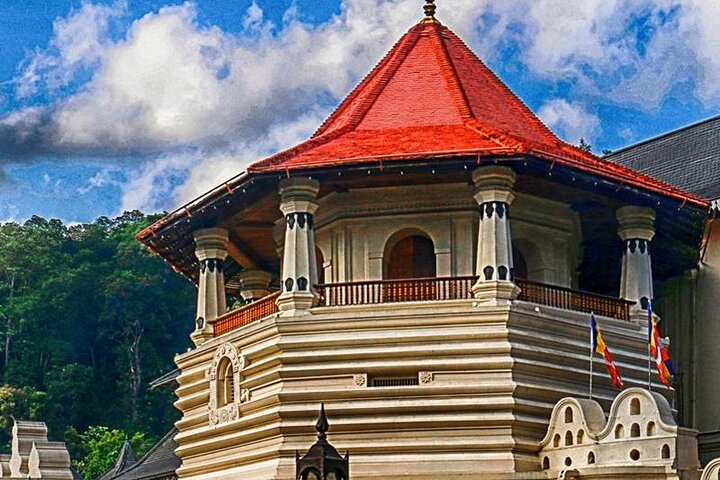 Lo más destacado de Sri Lanka de 5 días con todo incluido