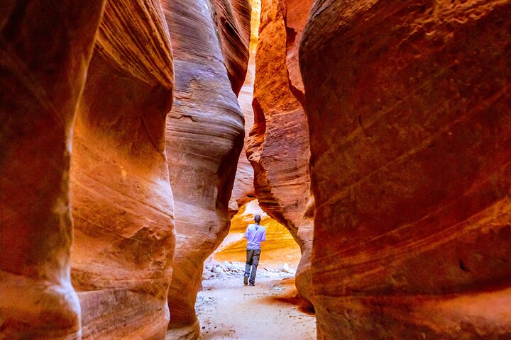 Caminata por el este de Zion Crimson Canyon y aventura en UTV