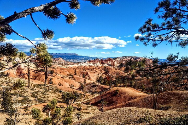 Passeio panorâmico de Bryce Canyon