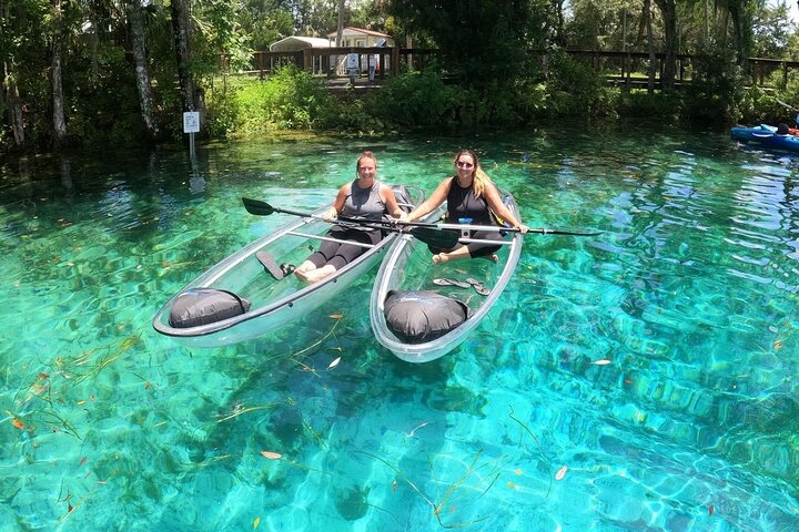 Clear Kayak Tour de las Tres Hermanas Springs y Manatí por Crystal River