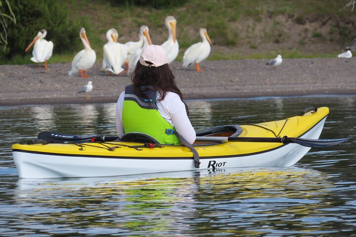 4 - Hora de Kayak no Lago Yellowstone com almoço
