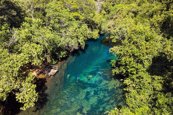 Ohne Anstehen: Recanto Ecologico Rio da Prata Ticket inklusive Trail & Schnorcheln