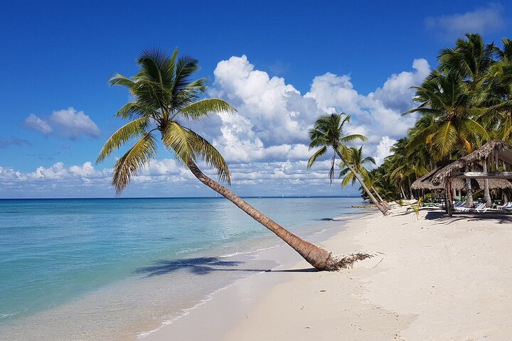 Isla Saona, experiencia memorable todo incluido, desde Santo Domingo.