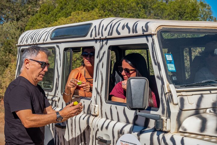 Jeep safari tur - halvdag