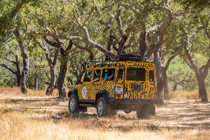 Jeep safari tur - halvdag
