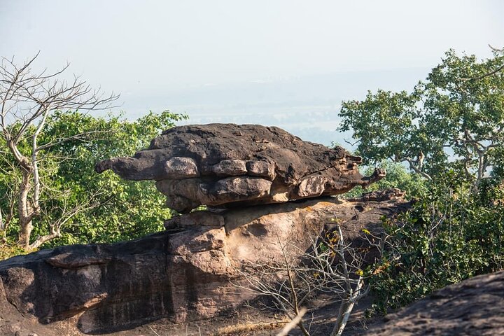 Abrigos de rocha de Bhimbetka e viagem de um dia ao templo de Bhojpur saindo de Bhopal
