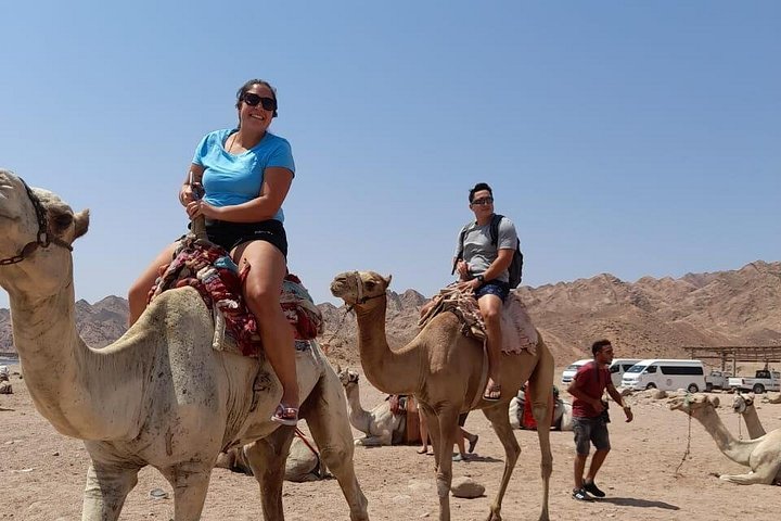 Charm el-Cheikh, Dahab et monastère Sainte-Catherine 4 jours 3 nuits au départ du Caire