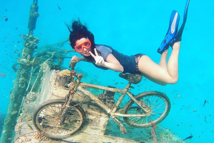 Maafushi: relitto di nave e snorkeling con lo squalo nutrice con osservazione dei delfini