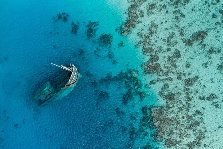 Maafushi: relitto di nave e snorkeling con lo squalo nutrice con osservazione dei delfini