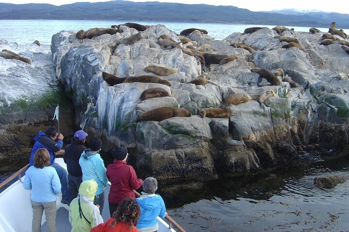 Tour en Catamaran por El Canal Beagle en Ushuaia