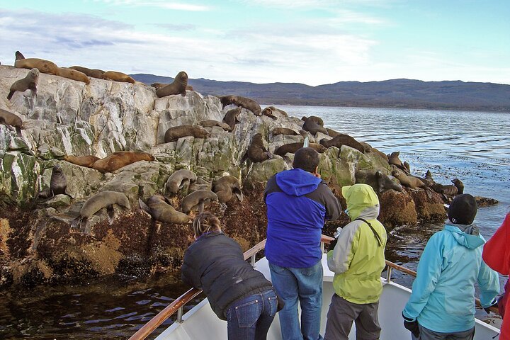 Tour en Catamaran por El Canal Beagle en Ushuaia