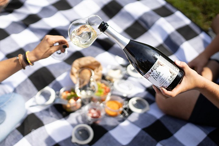 Visita a la bodega y picnic en el viñedo con una botella de vino.