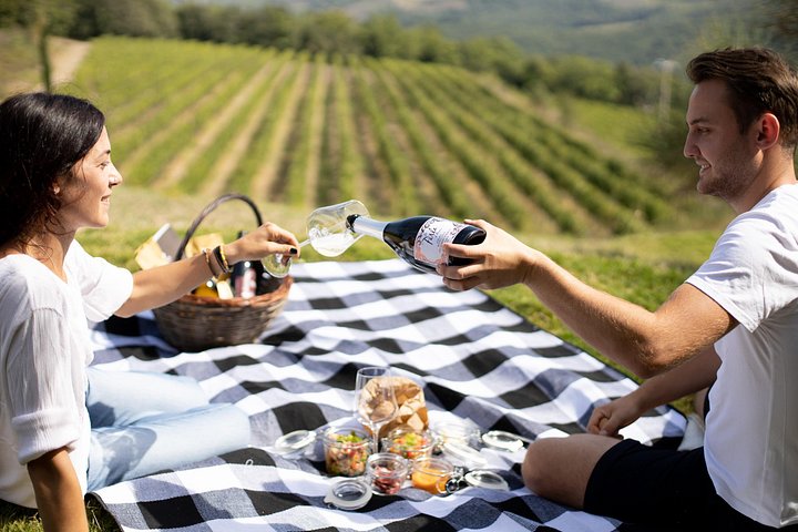 Visita a la bodega y picnic en el viñedo con una botella de vino.