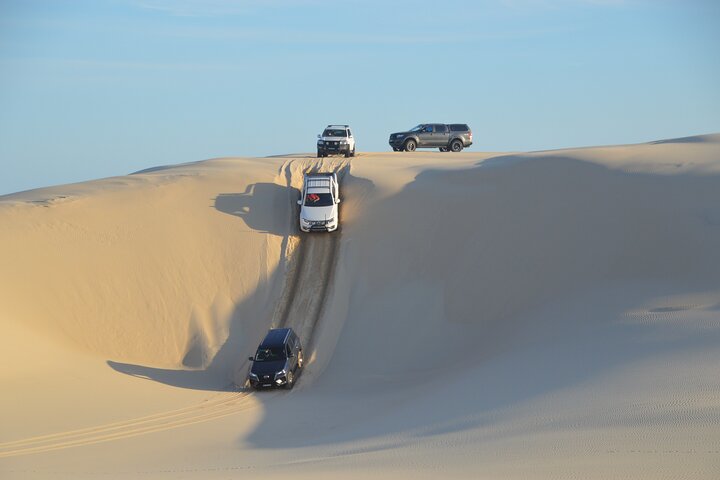 Tour de pasajeros en 4x4 por Port Stephens, playa y dunas de arena