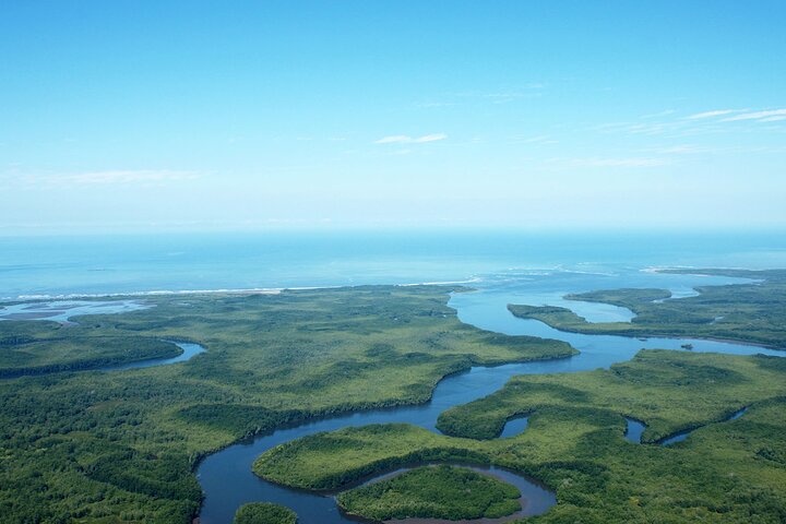 Eendaagse tour naar de mangrove Térraba-Sierpe per boot vanuit Sierpe