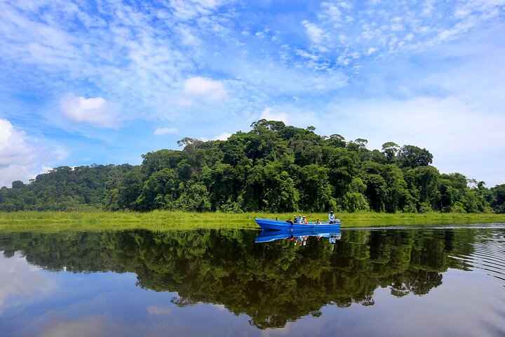 Eendaagse tour naar de mangrove Térraba-Sierpe per boot vanuit Sierpe
