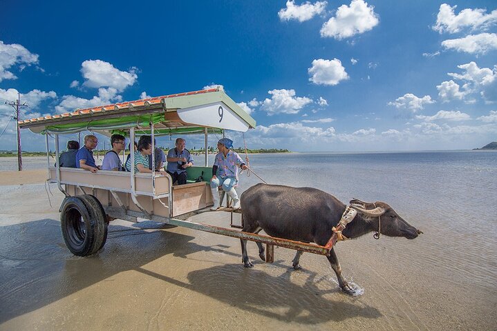 Île d'Iriomote à Okinawa - Excursion d'une journée depuis l'île d'Ishigaki !Plongée en apnée à l'île de Barasu et visite de l'île de Yubu. Photos et location de matériel gratuites.