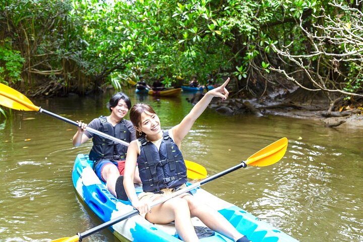 Okinawa Iriomote SUP or Canoe and Sightseeing in Yubujima Island