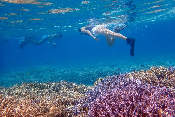 Plongée avec tuba sur l'île fantôme d'Okinawa Ishigaki et la grotte bleue
