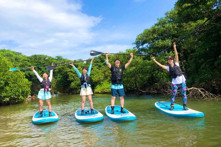 SUP ou canoë dans la mangrove d'Ishigaki + plongée avec tuba dans la Grotte Bleue