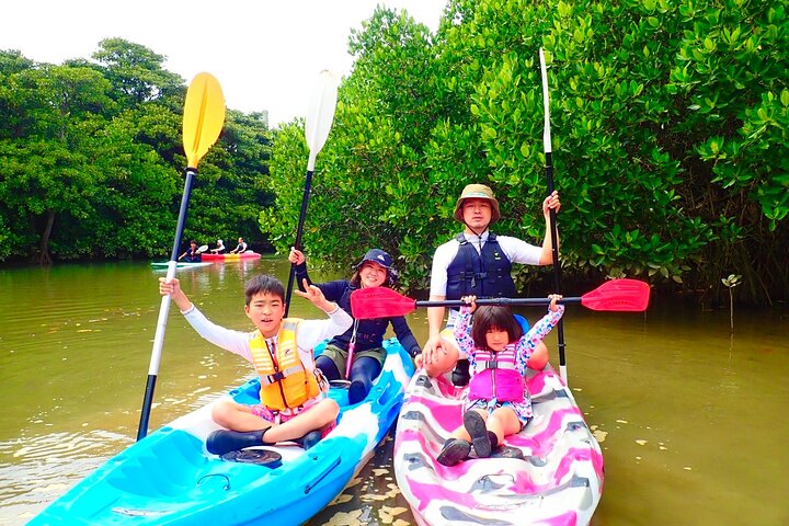 SUP ou canoë dans la mangrove d'Ishigaki + plongée avec tuba dans la Grotte Bleue