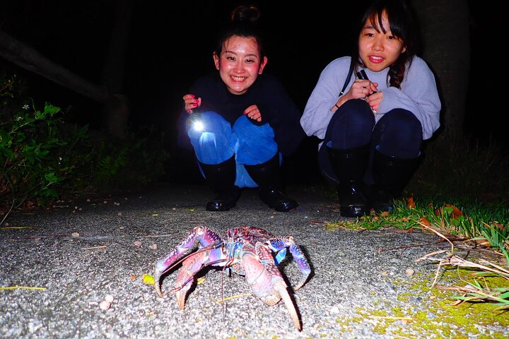 Okinawa Ishigaki Island Night Tour notturno del cielo stellato e della giungla