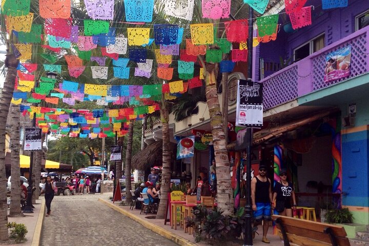 Recorrido Privado de Día Entero a Sayulita y San Pancho
