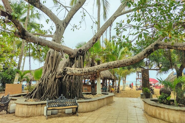 Recorrido Privado de Día Entero a Sayulita y San Pancho