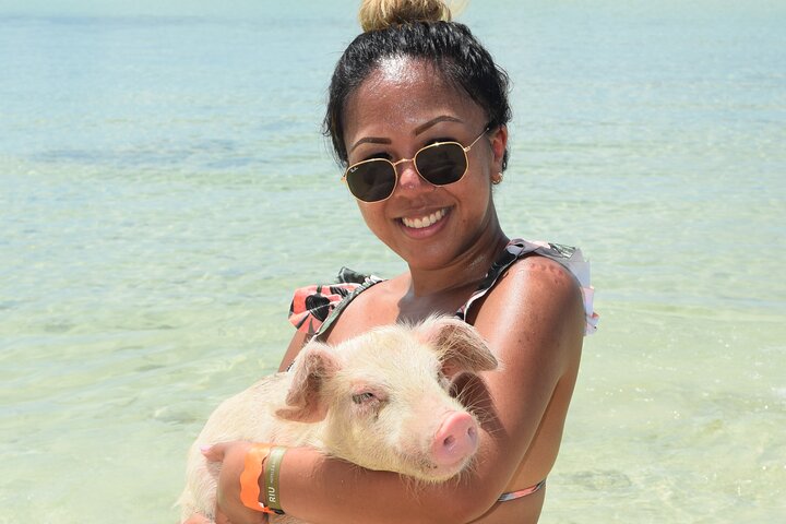 Zwemmen met varkens in Nassau, inclusief vervoer