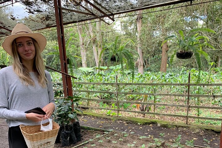 Coffee Farm Tour from Bogotá – Be a Farmer for a Day
