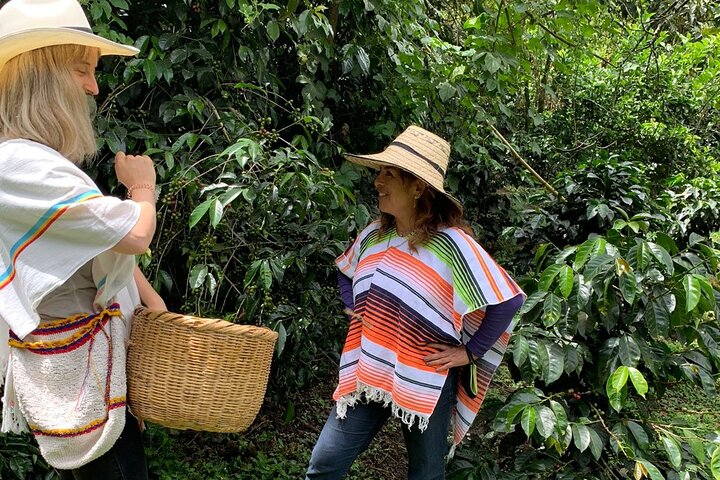 Coffee Farm Tour from Bogotá – Be a Farmer for a Day