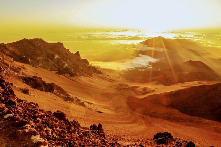 Maui : maestoso tour dell'alba di Haleakala con pick-up