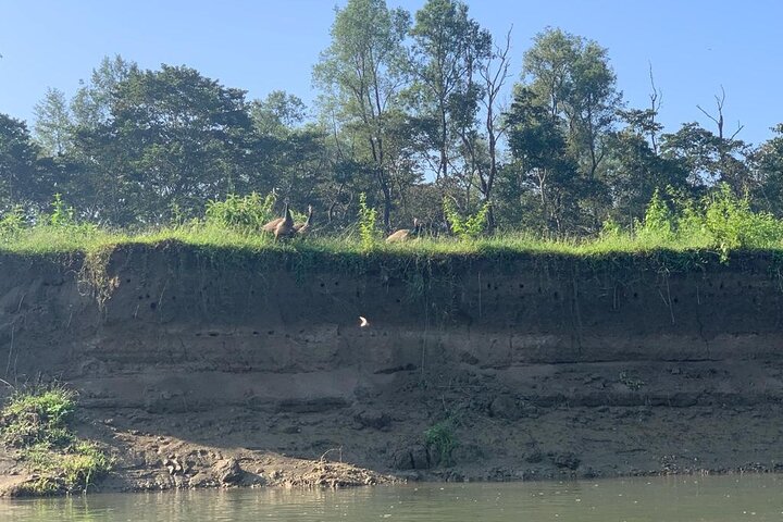 3 - Dag Chitwan Jungle Safari fra Kathmandu – All Inclusive Tour