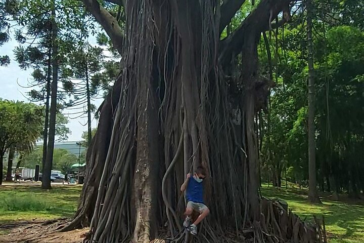 Excursão privada de meio dia pela cidade de São Paulo saindo do aeroporto GRU ou de qualquer hotel
